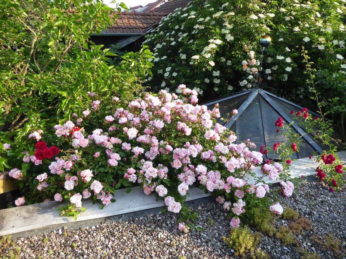 Pension Zur Rose Weil am Rhein Exterior photo