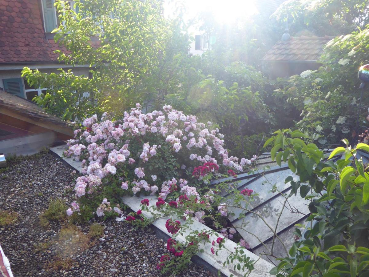 Pension Zur Rose Weil am Rhein Exterior photo